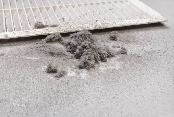Best Emergency Air Duct Cleaning  in Mapleton, IA