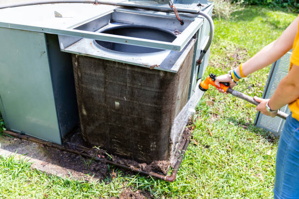 Best Affordable Duct Cleaning Services  in Mapleton, IA