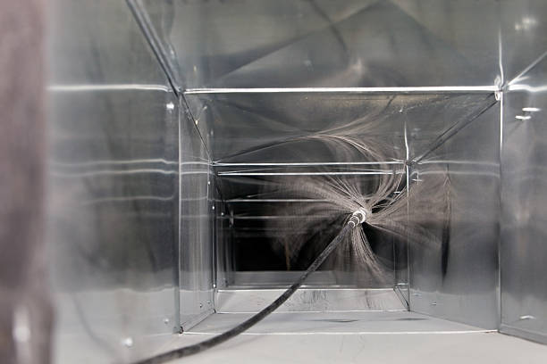 Best Air Duct Mold Removal  in Mapleton, IA