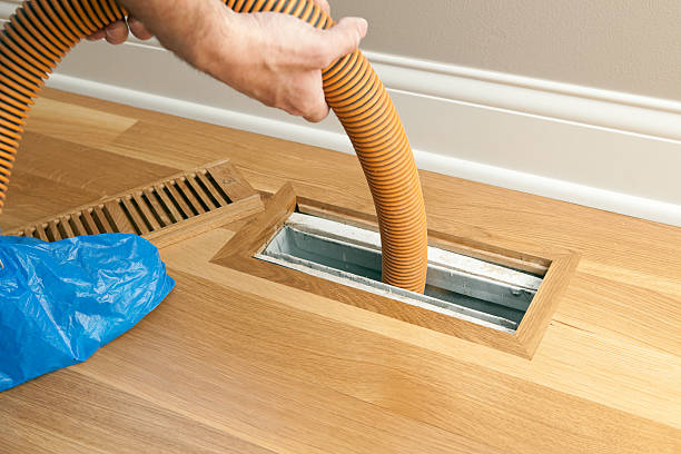 Best Professional Duct Cleaning Services  in Mapleton, IA