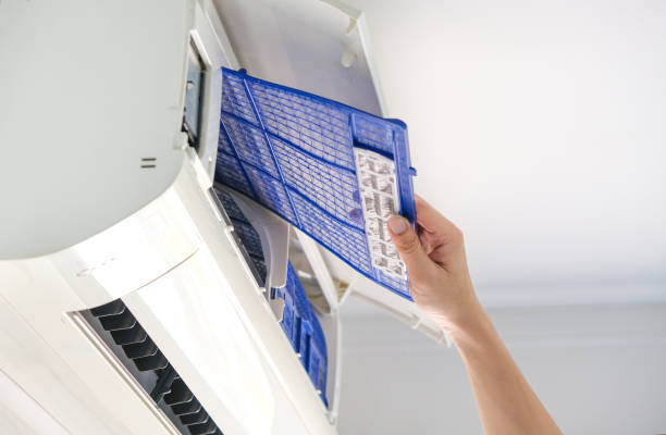 Best Local Air Duct Cleaning Services  in Mapleton, IA