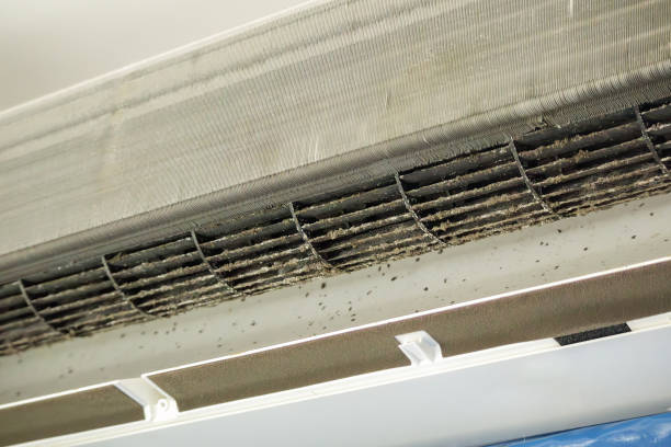 Best Ductwork Cleaning Services  in Mapleton, IA