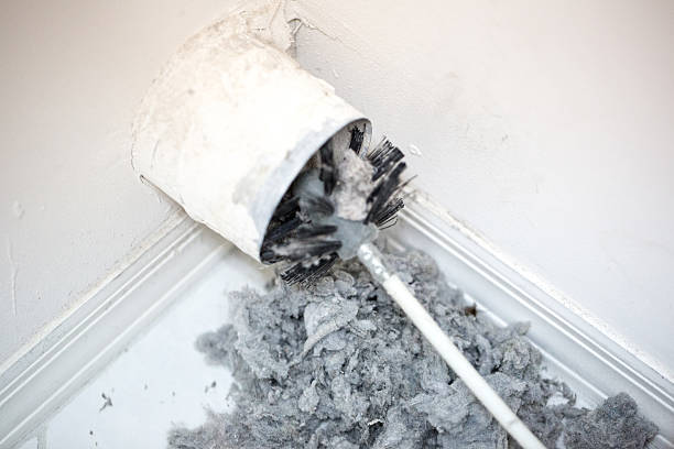 Best Professional Duct Cleaning Services  in Mapleton, IA