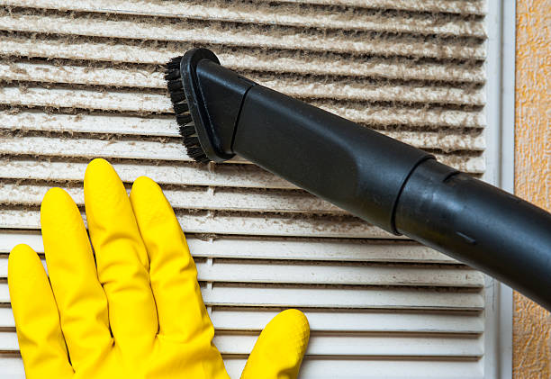 Best Local Air Duct Cleaning Services  in Mapleton, IA